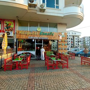 IMG_20230309_124239_412