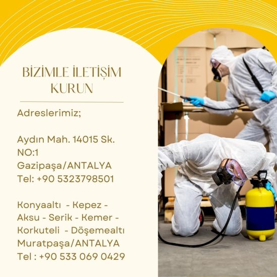 Painting Instagram Template